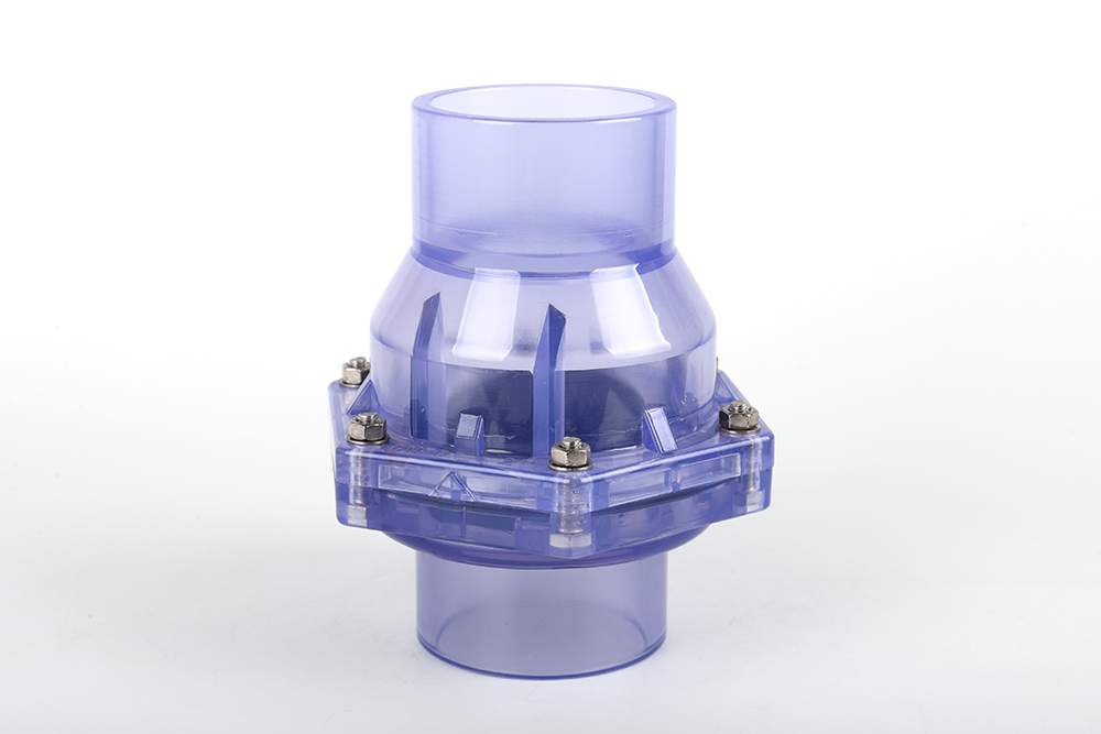 揭阳透明翻板式止回阀